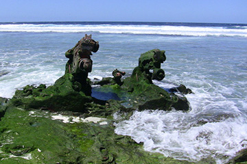 火奴魯魯港口查詢(xún)_honolulu,hi港口代碼_美屬太平洋群島火奴魯魯港口代碼